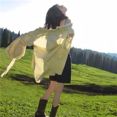 钻石艳盗国语